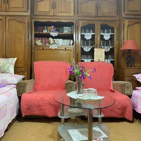 Bed and Breakfast Sud ,,Antal I Olga,, Skorenovac Номер фото