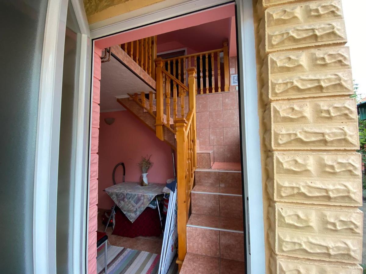 Bed and Breakfast Sud ,,Antal I Olga,, Skorenovac Экстерьер фото