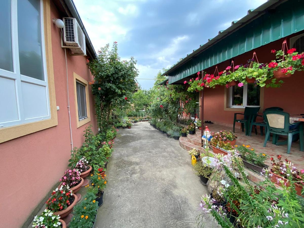 Bed and Breakfast Sud ,,Antal I Olga,, Skorenovac Экстерьер фото