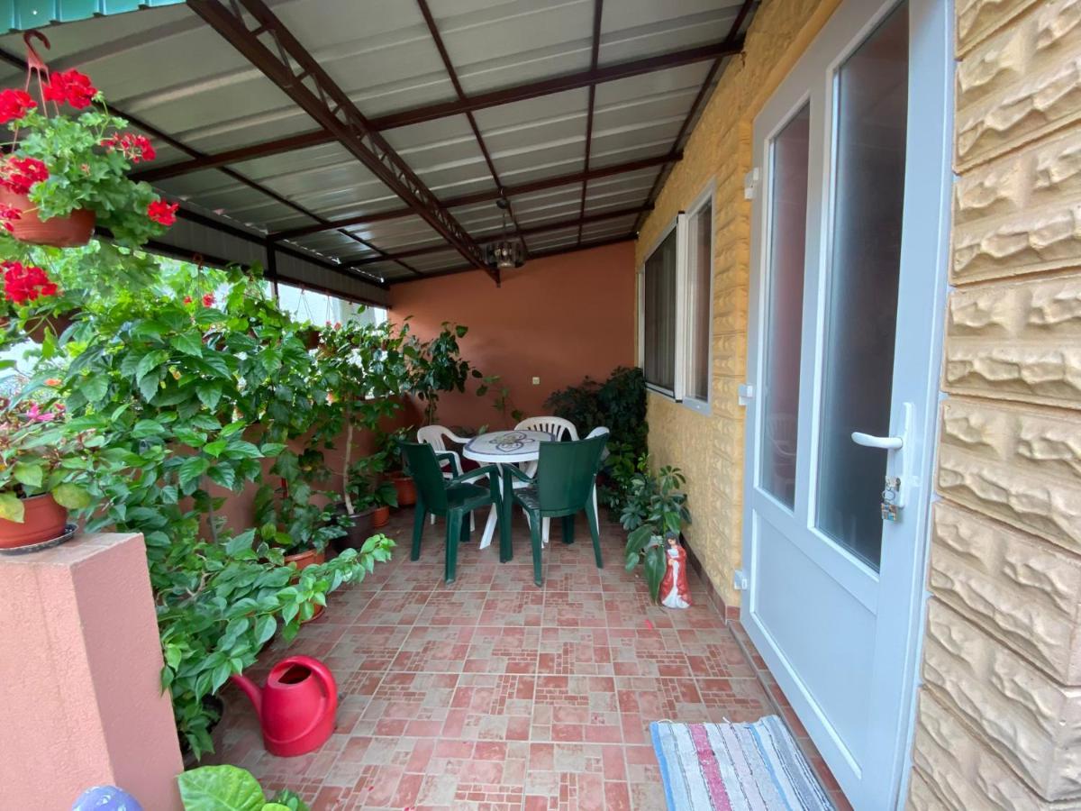 Bed and Breakfast Sud ,,Antal I Olga,, Skorenovac Экстерьер фото