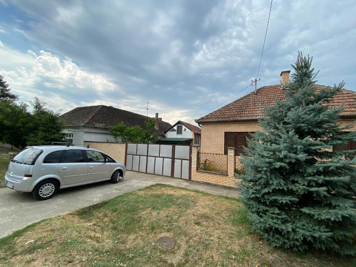 Bed and Breakfast Sud ,,Antal I Olga,, Skorenovac Экстерьер фото