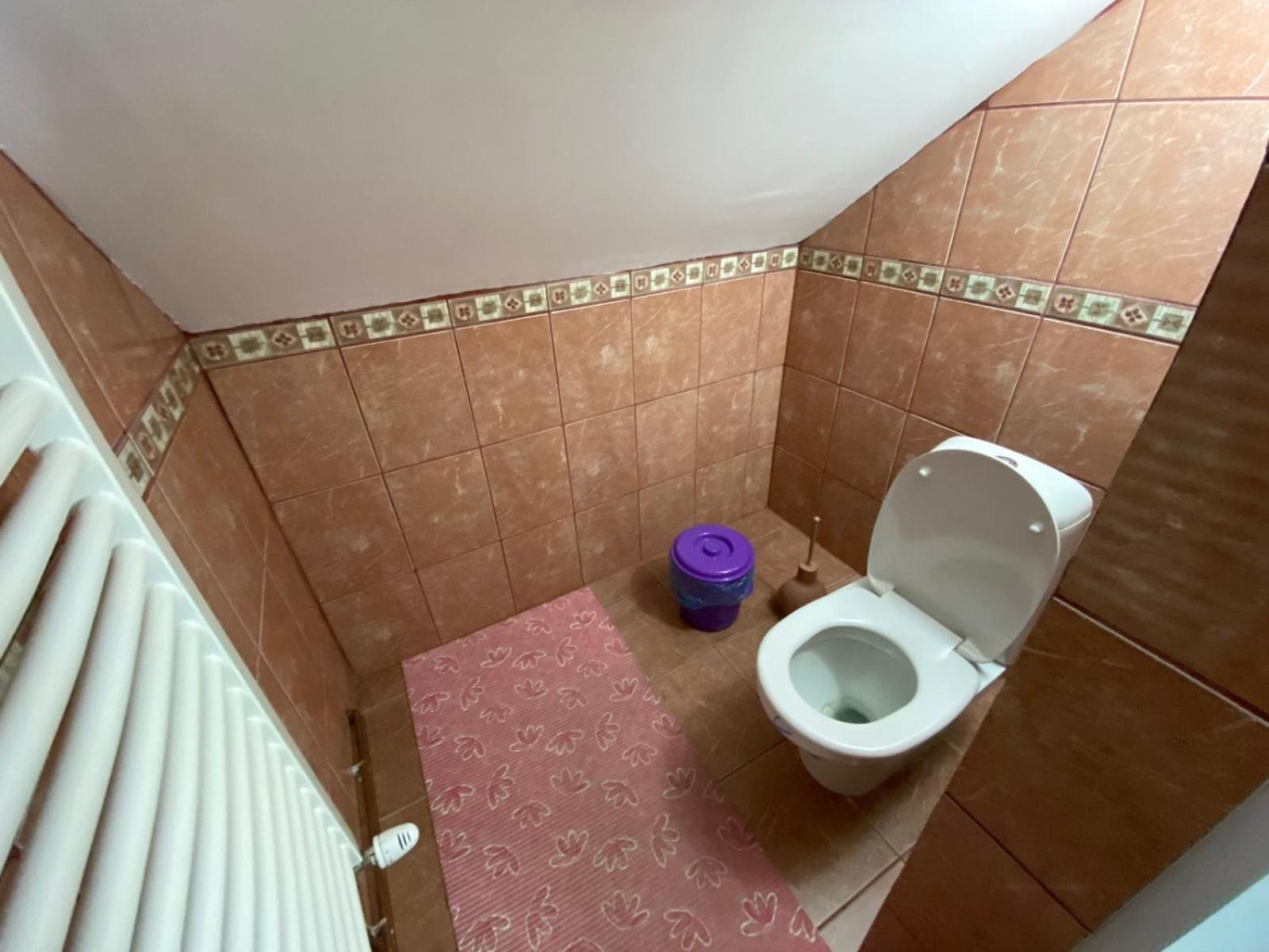 Bed and Breakfast Sud ,,Antal I Olga,, Skorenovac Номер фото
